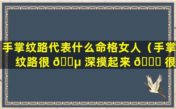 手掌纹路代表什么命格女人（手掌纹路很 🌵 深摸起来 🐎 很粗糙怎么办）